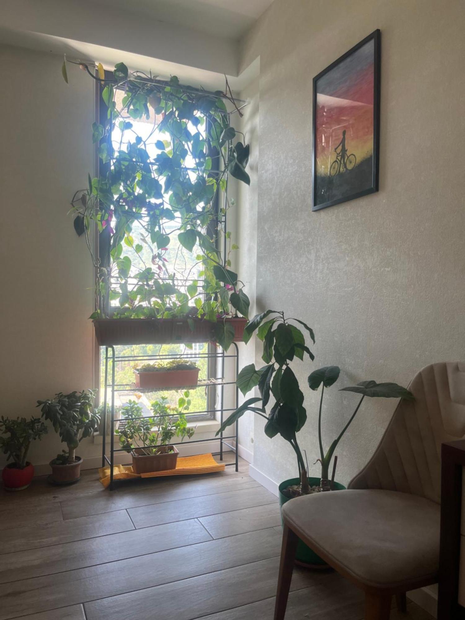 Panorama Khiliani Apartman Tbiliszi Kültér fotó